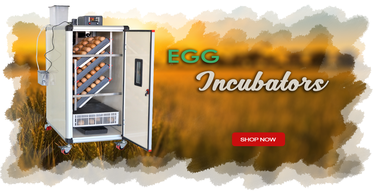 Quail Egg Incubators for sale in london