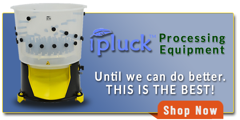 Slaughtering & Plucking Equipment