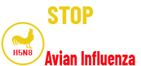 Bird Flue Avian influenza DEFRA UK