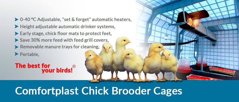 Chick Brooder Cages - Crescentquail