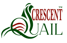 Crescentquail Logo