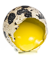 Quail Egg Meat